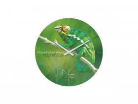 Часы настенные Nicole Time NT503 в Хани - hani.mebel-nsk.ru | фото